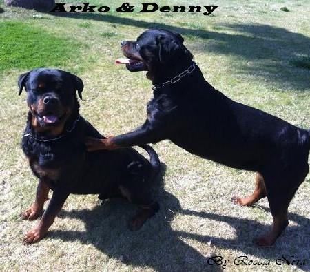 Arko - Roccia Nera